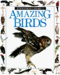 Amazing Birds